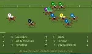 Corridas de cavalos Bet365