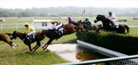 jumps-horse-racing